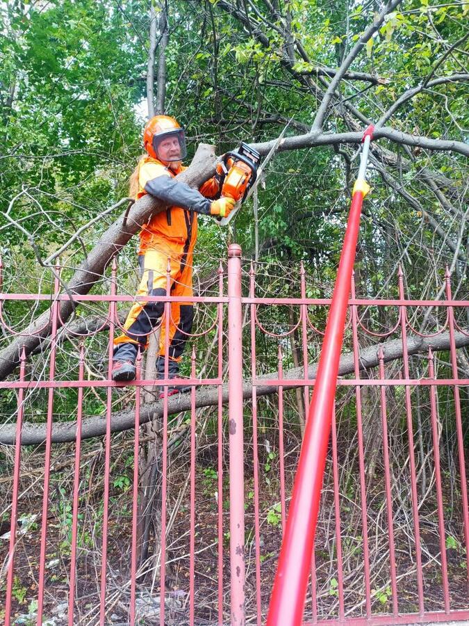Арборист разбирает упавшее на забор дерево